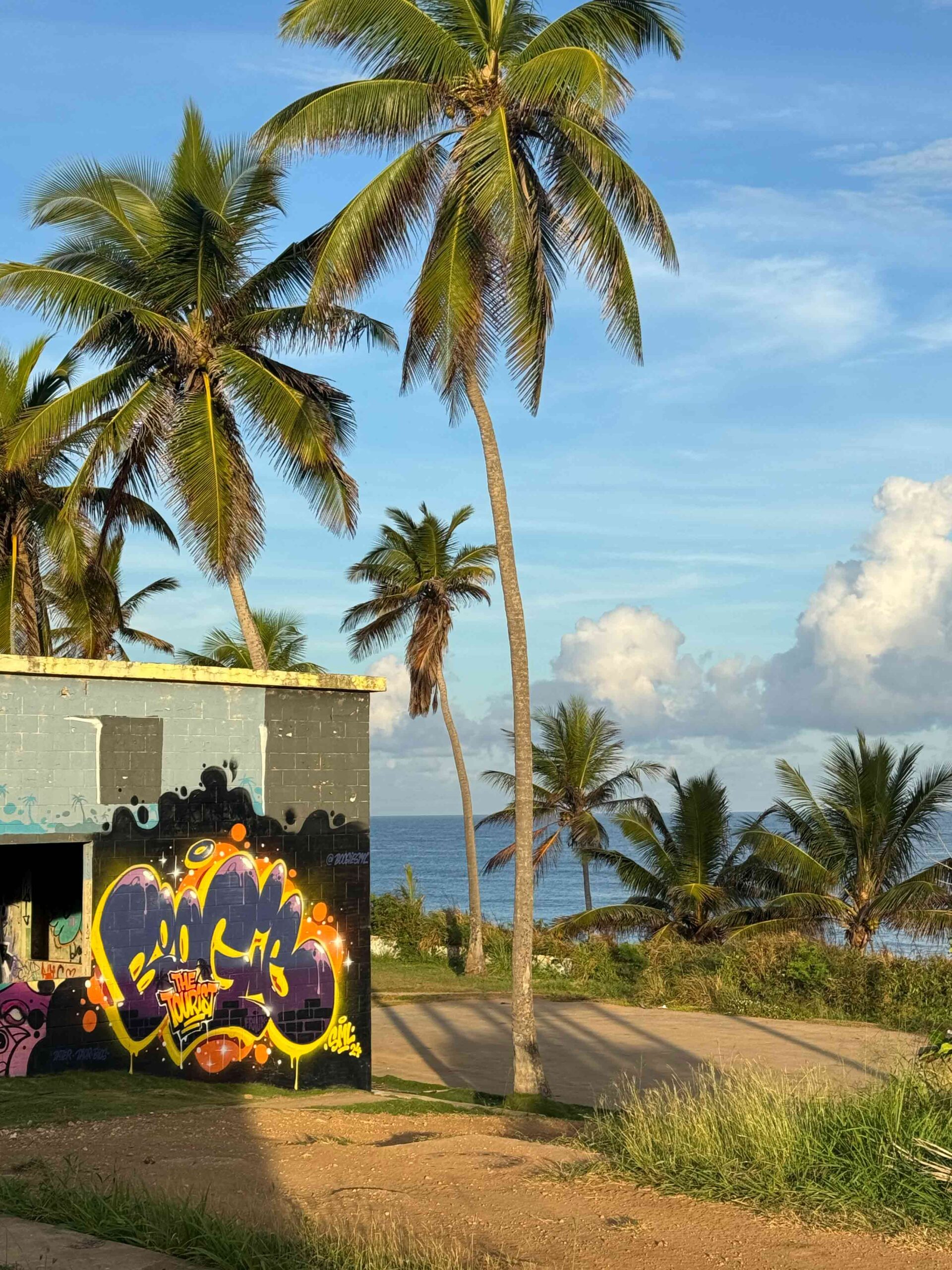 Boogie-Puerto-Rico-2024